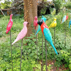 Artists/Images/ResizedExtra/marianne barbier_image_petit oiseau.jpg